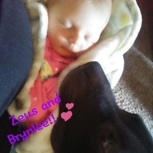 Meet your Posher, Amber